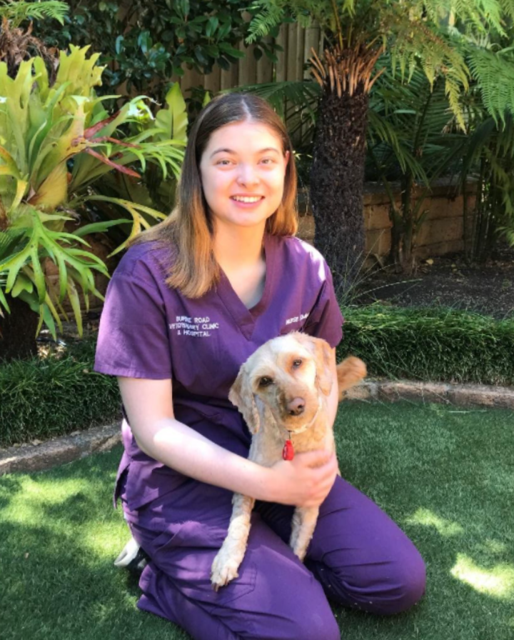 Burke Rd Vet - Meet the Team - Jemma - Burke Road Veterinary Clinic and ...