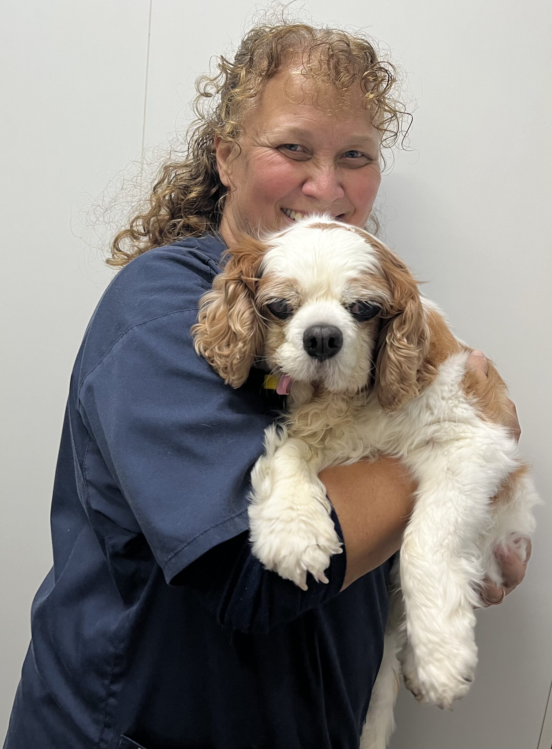 Meet the Team - Jessica Harris
